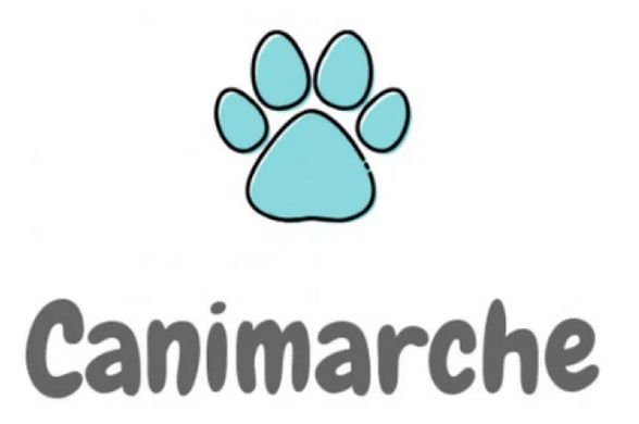 Chiens en canimarche